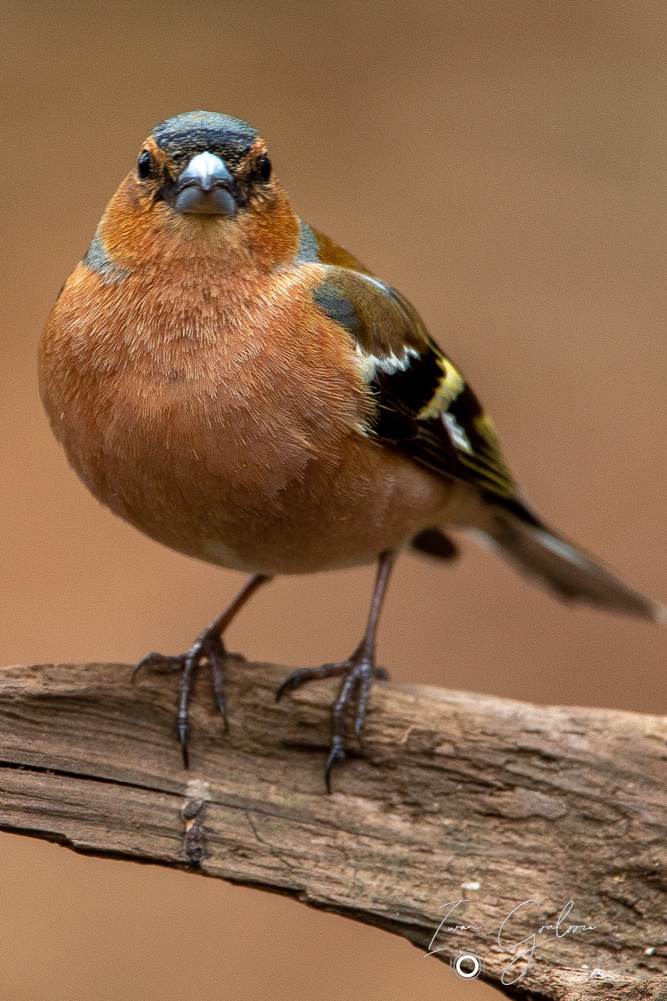 27 april 2022 191742  5D48404